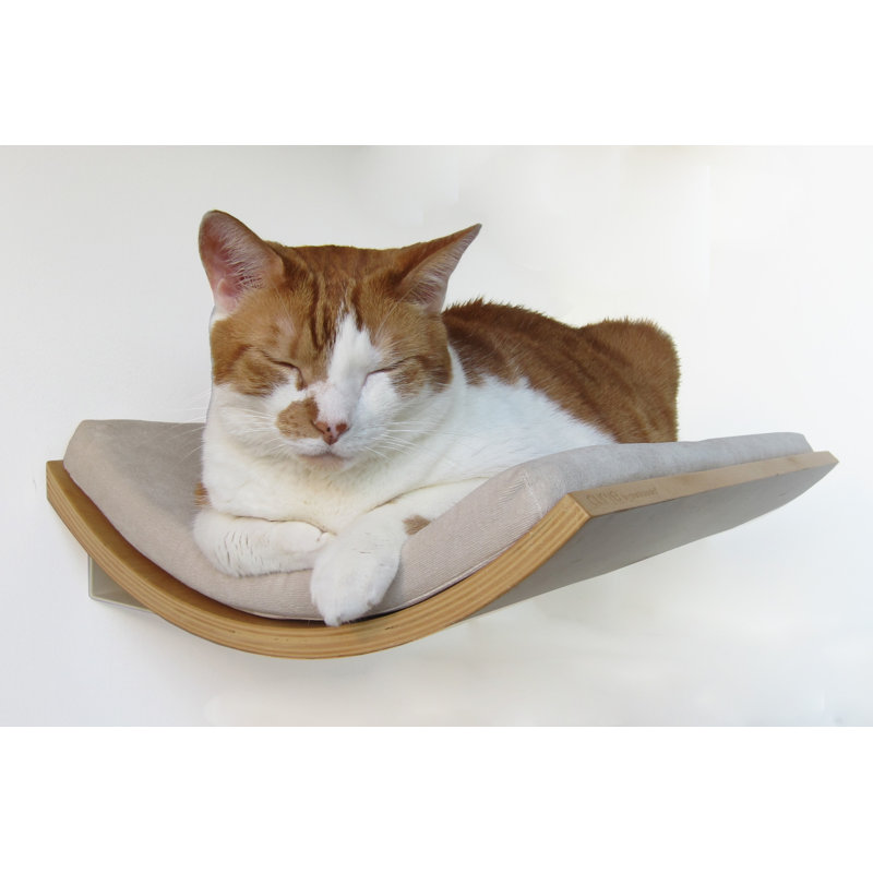 Tucker Murphy Pet 5 Myra Curve Wall Mounted Cat Perch Wayfair 5 Myra Curve Wall Mounted Cat Perch