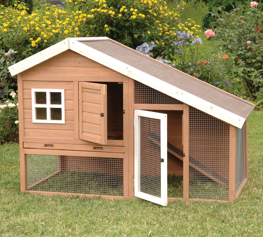 Precision Pet Cape Cod Chicken Coop & Reviews | Wayfair