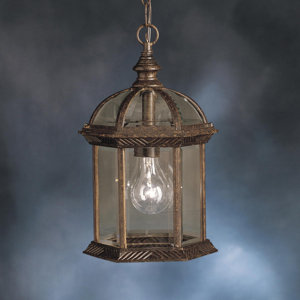 Caroline 1-Light Outdoor Hanging Lantern