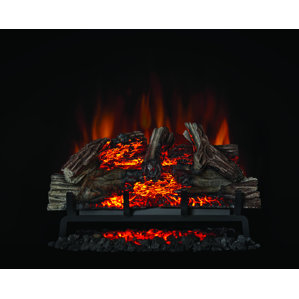 Woodland Electric Fireplace Insert by ..