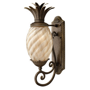 Terry Traditional 1-Light Outdoor Pineapple-Shaped Wall Lantern