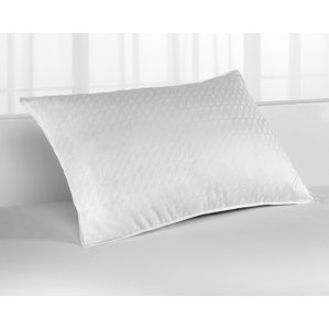 Polyfill Pillow by Nautica