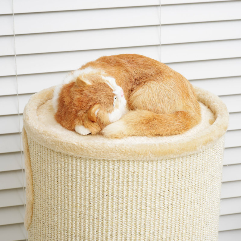 Pawhut 97cm Barrel Cat Tree & Reviews Wayfair.co.uk