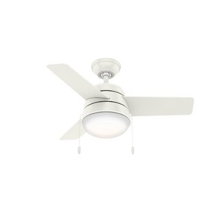 Minka Aire 36 Gyrette 8 Blade Ceiling Fan Wayfair