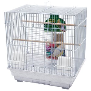 Bird Starter Kit (Set of 2)