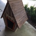 Innovation Pet Houses and Paws Whimsical Dog House & Reviews | Wayfair