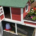 Pawhut Farmhouse Chicken Coop with Run Area and Nesting 