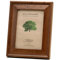 Eco Woods Jackson Picture Frame