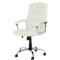 High-Back Executive Chair with Lumbar Support