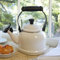 Enamel On Steel 1.25 Qt. Demi Tea Kettle