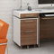 Format 2-Drawer Mobile File