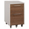 Format 2-Drawer Mobile File