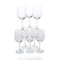 Vinum Viognier/Chardonnay White Wine Glass Box Set