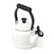 Enamel On Steel 1.25 Qt. Demi Tea Kettle
