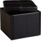 Coleen Storage Ottoman