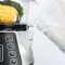 NaturoPure Steamer