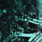 Jungle Graph Graphic Art on Canvas