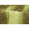 Green Area Rug