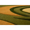 Apatite Green Area Rug
