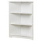 Corner 36" Bookcase