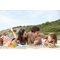 Finesse Peshtemal Beach Towel