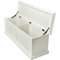 Belle Isle Storage Accent Trunk