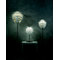PineApple 150cm Floor Lamp