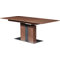 Rion Extendable Dining Table