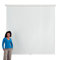 White Manual Projection Screen