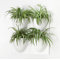 Flower Wall Planter
