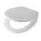 Thermoset Elongated Toilet Seat