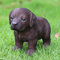 labrador puppy statue