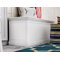 Belle Isle Storage Accent Trunk