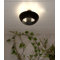 Spril 6 Light Outdoor Sconce