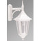 Valencia 1 Light Outdoor Wall Lantern