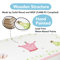 Princess and Frog Toy Chest