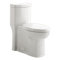 Boulevard Siphonic Dual Flush Elongated One-Piece Toilet