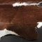 Kingfisher Hand-Woven Brown/White Area Rug