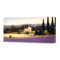 Lavender Fields Panel III Wall Art on Canvas