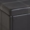 Coleen Storage Ottoman