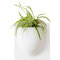 Flower Wall Planter