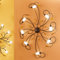 Gerbera 8 Light Spotlight
