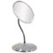 Gooseneck Vanity Mirror