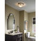 80 CFM Bathroom Fan with Light
