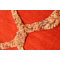 Bliss Hand-Woven Wool Red Rug