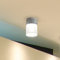 Lichi 1 Light Ceiling Spotlight