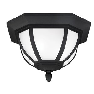 Teri 2-Light Outdoor Flush Mount