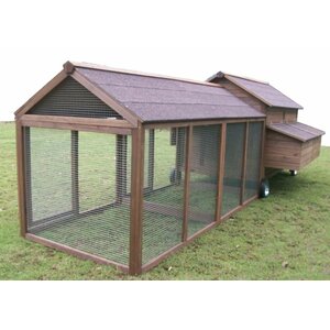 Chicken Coop with Chicken Run