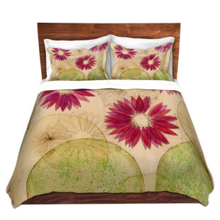 Daisy Fuentes Bedding Wayfair
