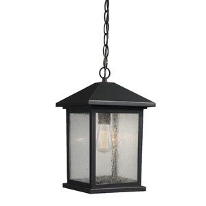 Leroy 1-Light Outdoor Hanging Lantern